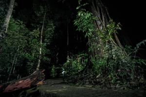 BIB: 
                            <button type="button" onclick="openModal(24808999)" class="btn btn-primary btn-sm float-right btn-popup" data-toggle="modal" data-target=".modal-high-quality">
                        <i class="fas fa-shopping-cart"></i> Add to Cart
                    </button>
                                            <button type="button" onclick="isThisMe(24808999, true)" class="btn btn-success btn-sm float-right btn-popup btn-isme hidden" data-toggle="tooltip" data-placement="bottom" title="นี่คือรูปของคุณใช่ไหม คลิกที่นี่เพื่อเอาเข้าอัลบั้ม">
                        <i class="fas fa-plus"></i> Add to album
                    </button>
                    <button type="button" onclick="isThisMe(24808999, false)" class="btn btn-warning btn-sm float-right btn-popup btn-isnotme hidden">
                        <i class="fas fa-ban"></i> Remove from album
                    </button>